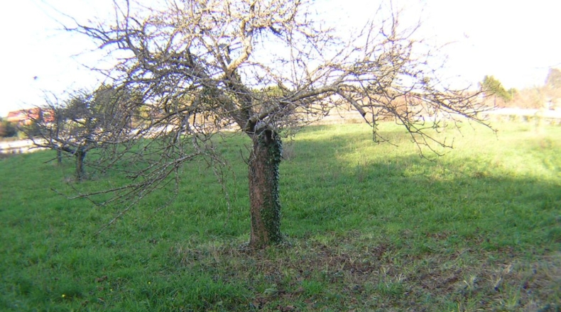 Asturias - Hontoria - 2200m2