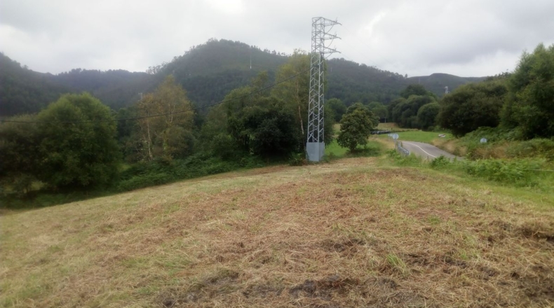 Asturias - Nueva - 600m2