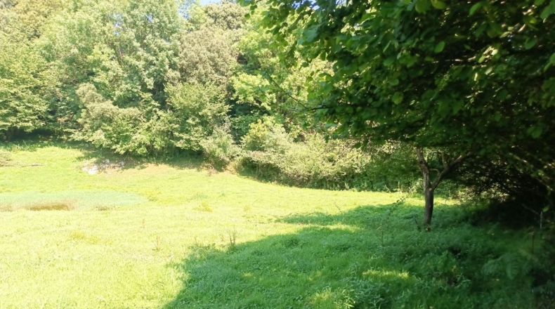 Asturias - La Somada - 3750m2
