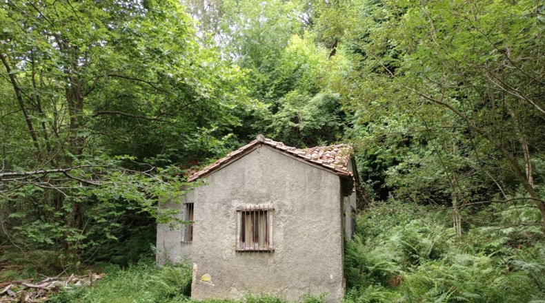 Astúries - Puertas - 10400m2