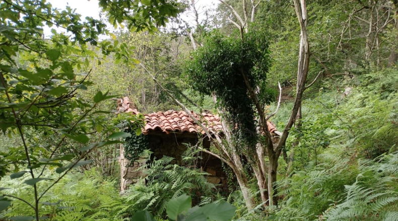 Astúries - Puertas - 10400m2