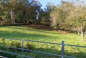 Llanes 613&nbsp;m² 