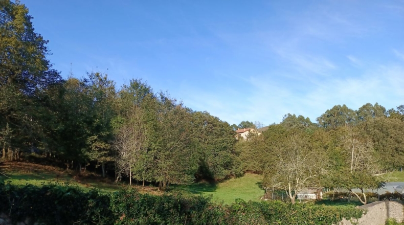 Asturias - La Somada - 613m2