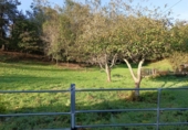 Sòl urbà en venda a la España, Llanes, ref.: TR111022 foto