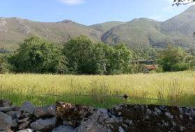 Llanes 2135&nbsp;m² 