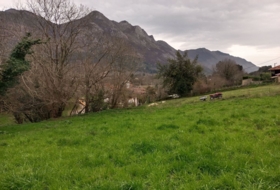 Llanes 2135&nbsp;m² 