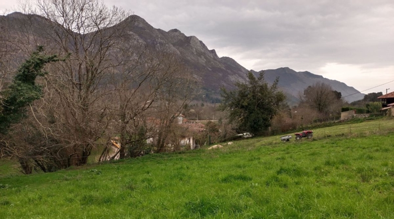 Asturias - Piñeres - 2135m2