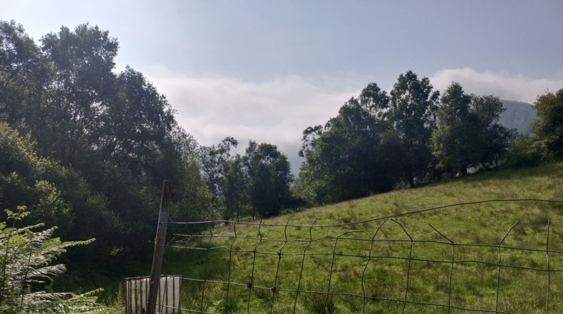 Astúries - Porrúa - 11255m2