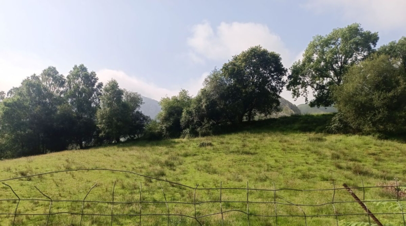Astúries - Porrúa - 11255m2