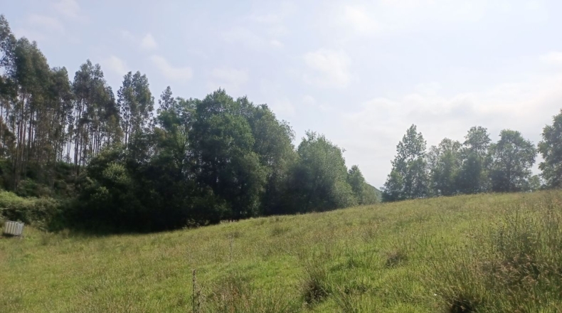 Astúries - Porrúa - 11255m2