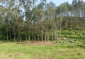 Finca rústica en venda a la España, Llanes, ref.: TR191578 foto