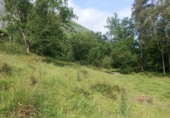 Finca rústica en venda a la España, Llanes, ref.: TR191578 foto
