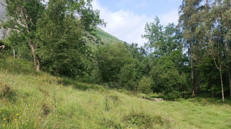 Astúries - Porrúa - 11255m2