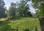 Finca rústica en venda a la España, Llanes, ref.: TR191578 foto