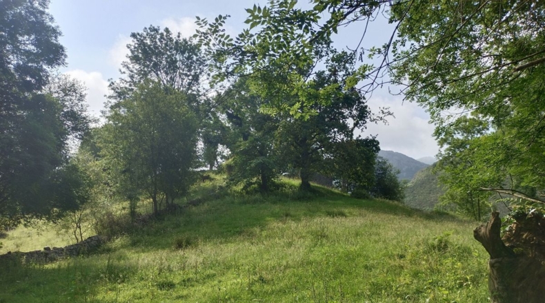 Astúries - Porrúa - 11255m2