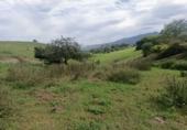 Sòl urbà en venda a la España, Posada de Llanes, ref.: TR111018 foto