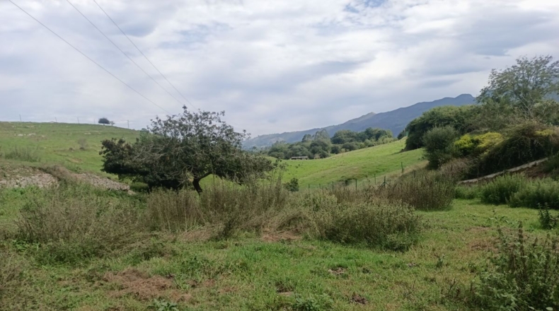 Asturias - La Borbolla - 1325m2