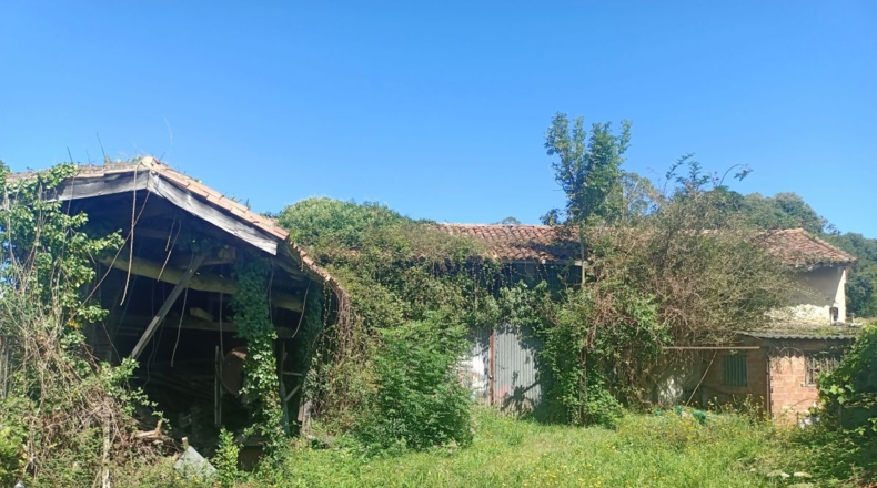 Asturias - Bricia - 447m2