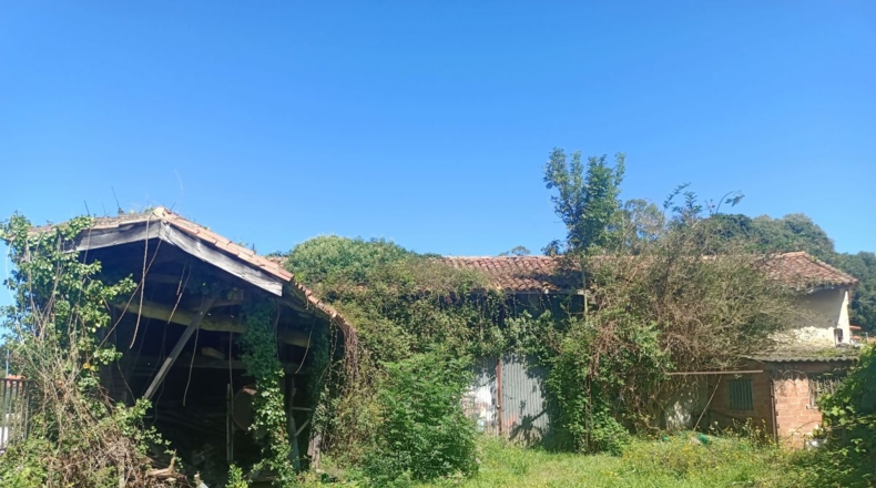 Asturias - Bricia - 447m2