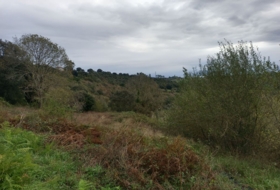 Andinas 10435&nbsp;m² 