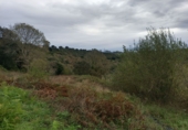 Finca rústica en venta en la España, Andinas, ref: TR191575 foto