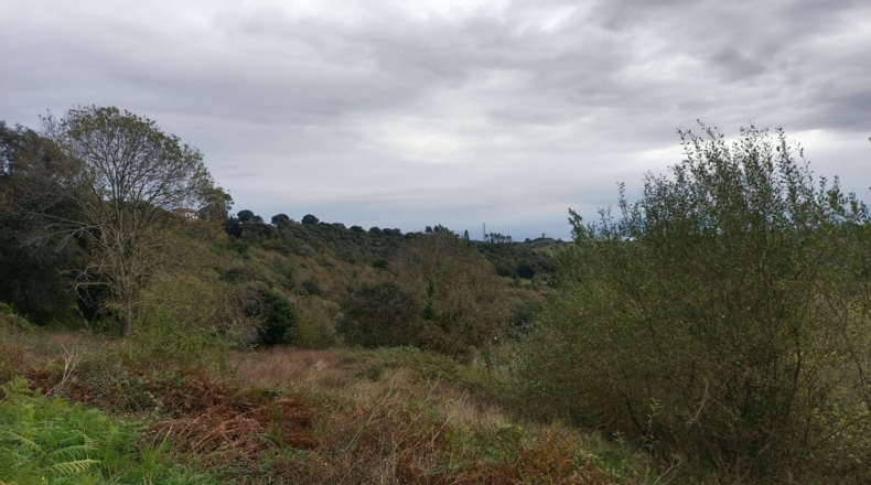 Astúries - Vilde - 10435m2