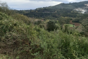 Andinas 10435&nbsp;m² 
