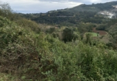 Finca rústica en venta en la España, Andinas, ref: TR191575 foto