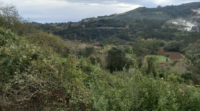 Astúries - Vilde - 10435m2