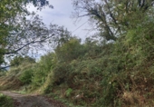 Finca rústica en venta en la España, Andinas, ref: TR191575 foto