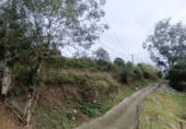 Finca rústica en venta en la España, Andinas, ref: TR191575 foto