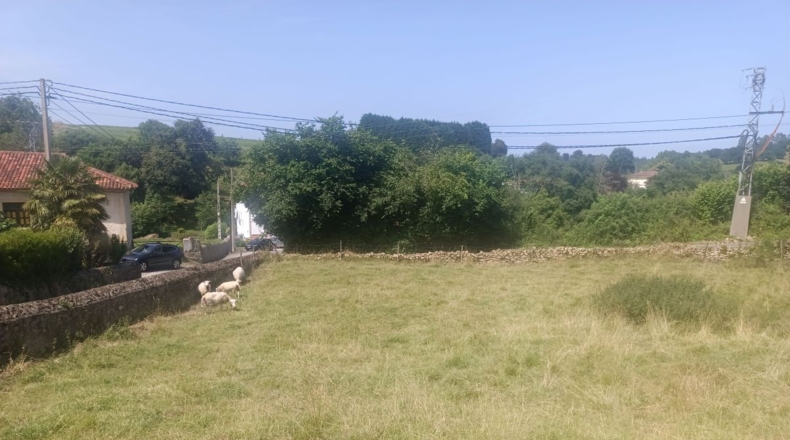 Asturias - Noriega - 1150m2