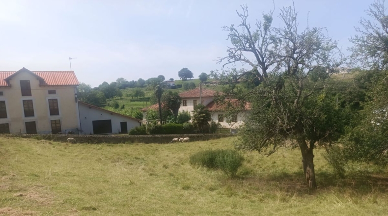 Asturias - Noriega - 1150m2