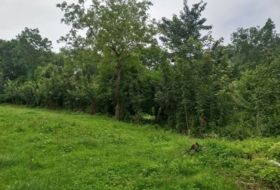 Llanes 1180&nbsp;m² 