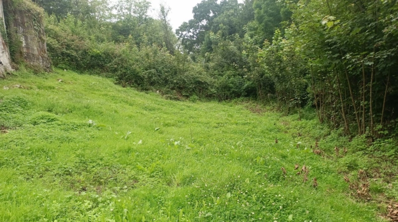 Asturias - Soberrón - 1180m2