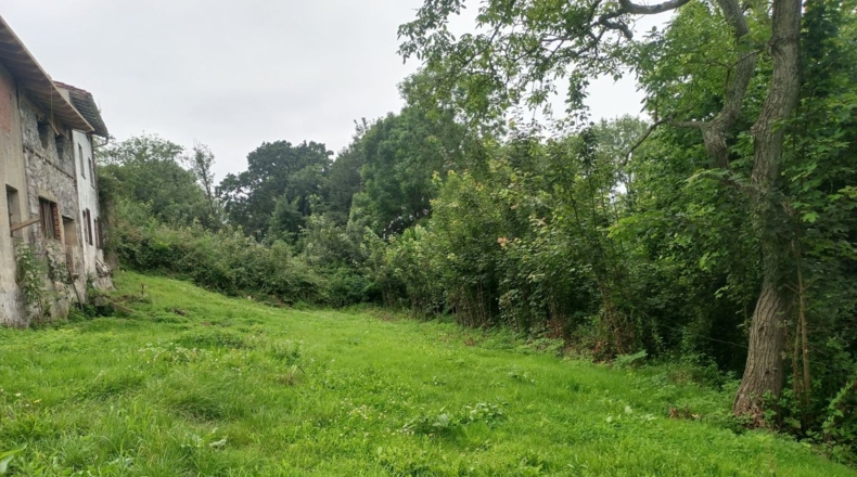 Asturias - Soberrón - 1180m2