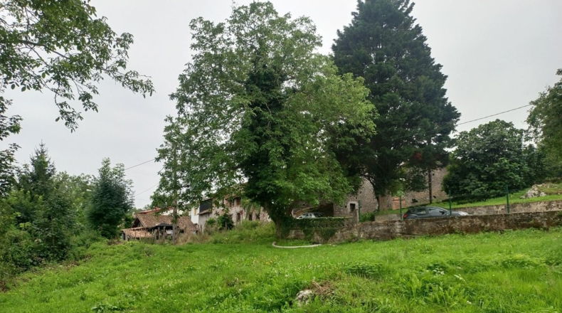 Asturias - Soberrón - 1180m2