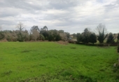 Suelo urbano en venta en la España, Nueva, ref: TR209092 foto