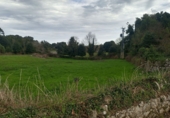 Suelo urbano en venta en la España, Nueva, ref: TR209092 foto