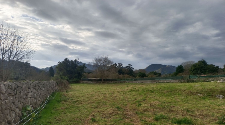 Asturias - Hontoria - 2297m2