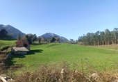 Finca rústica en venda a la España, Llanes, ref.: TR277908 foto