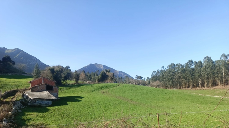 Asturias - Llanes - 8953m2