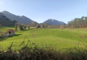 Finca rústica en venda a la España, Llanes, ref.: TR277908 foto