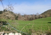 Finca rústica en venda a la España, Llanes, ref.: TR277908 foto