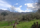 Finca rústica en venda a la España, Llanes, ref.: TR277898 foto