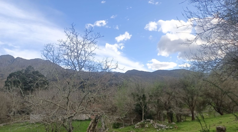 Asturias - Llanes - 4200m2