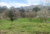 Finca rústica en venda a la España, Llanes, ref.: TR277898 foto