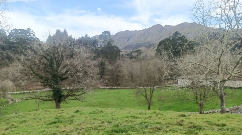 Asturias - Llanes - 4200m2
