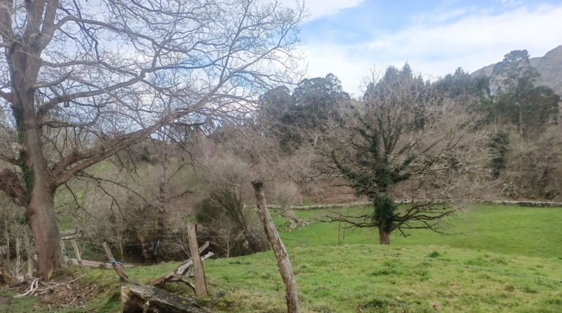 Asturias - Llanes - 4200m2