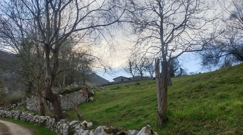 Asturias - Llanes - 4200m2